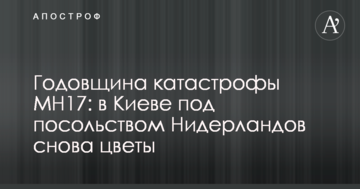 Річниця катастрофи MН17: у Києві під посольством Нідерландів знову квіти