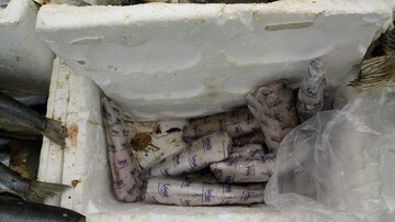 Мережі шокували фото моторошної знахідки в супермаркеті Києва