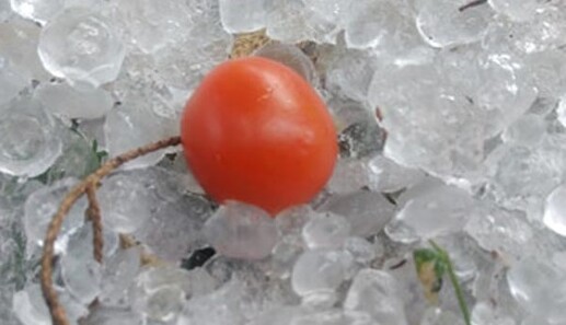 У Дніпрі випав гігантський град і затопило вулиці: опубліковано фото і відео