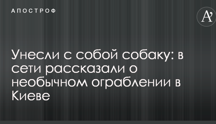 Забрали з собою собаку: в мережі розповіли про незвичайне пограбування в Києві