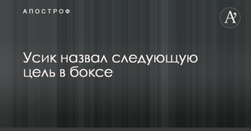 Усик назвал следующую цель в боксе
