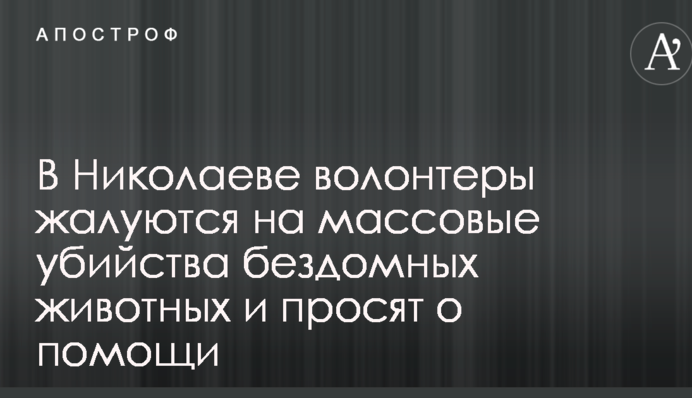 В Николаеве волонтеры жалуются на массовые убийства бездомных животных и просят о помощи