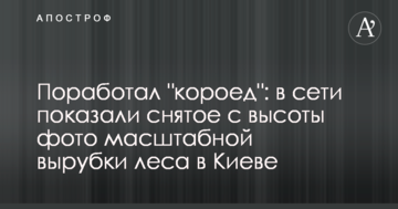 Попрацював "короїд": в мережі показали зняте з висоти фото масштабної вирубки лісу в Києві