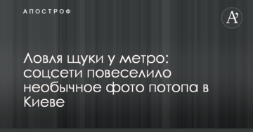 Ловля щуки біля метро: соцмережі повеселило незвичайне фото потопу в Києві
