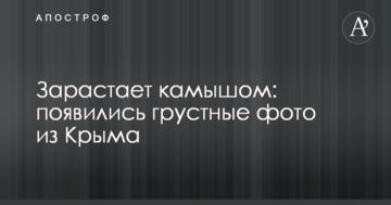 Зарастает камышом: появились грустные фото из Крыма