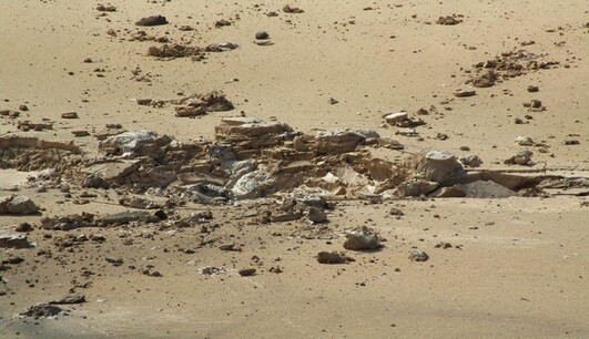 В Черновцах определились с кандидатурой исполняющего обязанности мэра