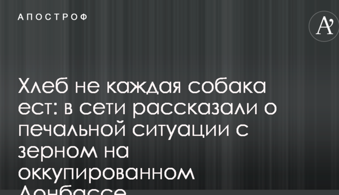 Хлеб не каждая собака ест: в сети рассказали о печальной ситуации с зерном на оккупированном Донбассе