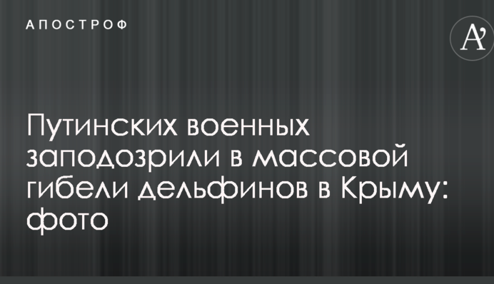 Путинских военных заподозрили в массовой гибели дельфинов в Крыму: фото