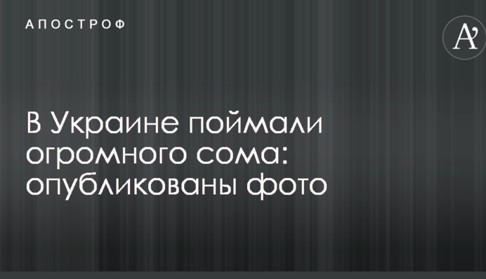 В Украине поймали огромного сома: опубликованы фото