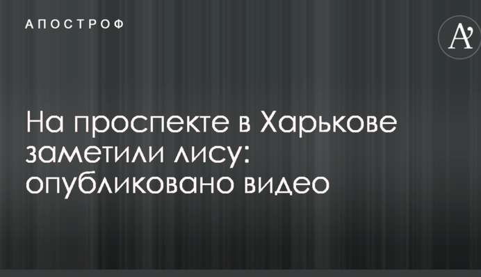 На проспекті в Харкові помітили лисицю: опубліковано відео