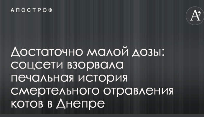 Достатньо малої дози: соцмережі підірвала сумна історія смертельного отруєння котів в Дніпрі