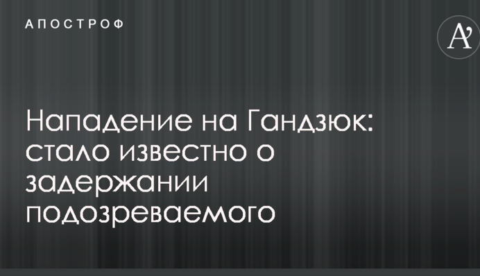 Нападение на Гандзюк: стало известно о задержании подозреваемого