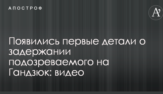 Появились первые детали о задержании подозреваемого на Гандзюк: видео