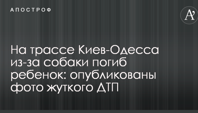 На трассе Киев-Одесса из-за собаки погиб ребенок: опубликованы фото жуткого ДТП