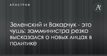 Зеленський і Вакарчук - це нісенітниця: заступник міністра різко висловився про нові обличчя в політиці