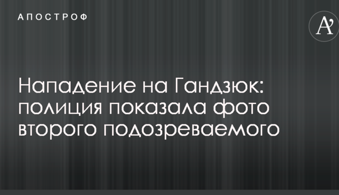 Напад на Гандзюк: поліція показала фото другого підозрюваного