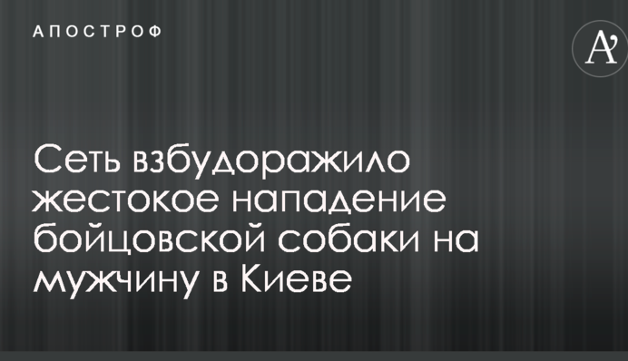 Мережу розбурхав жорстокий напад бійцівського собаки на чоловіка в Києві