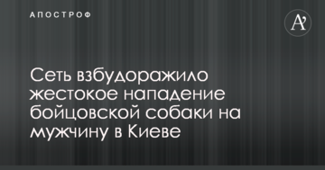 Мережу розбурхав жорстокий напад бійцівського собаки на чоловіка в Києві