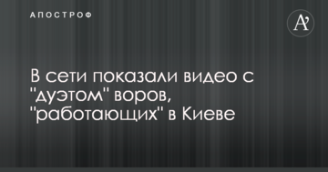У мережі показали відео з "дуетом" злодіїв, що "працюють" в Києві