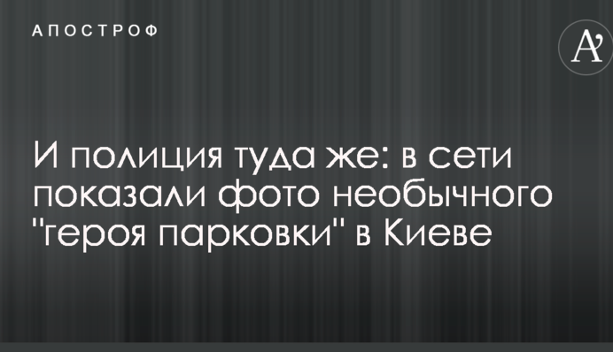 І поліція туди ж: в мережі показали фото незвичайного 