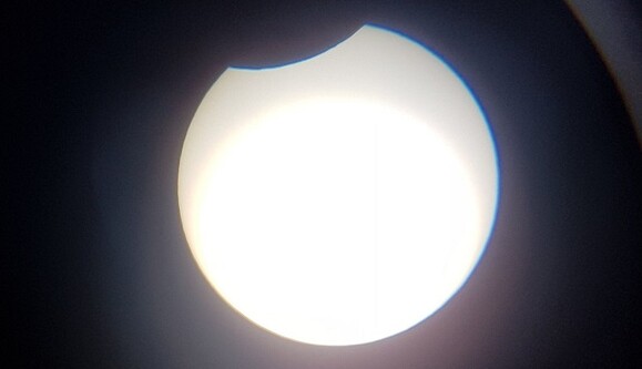 Птицефабрика 