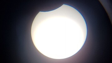 Птахофабрика "Чорнобаївська" не причетна до екологічної проблеми в Херсонській області - ЗМІ