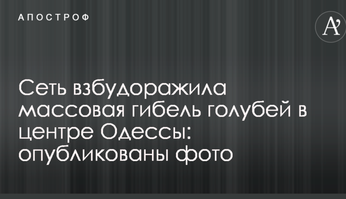 Сеть взбудоражила массовая гибель голубей в центре Одессы: опубликованы фото