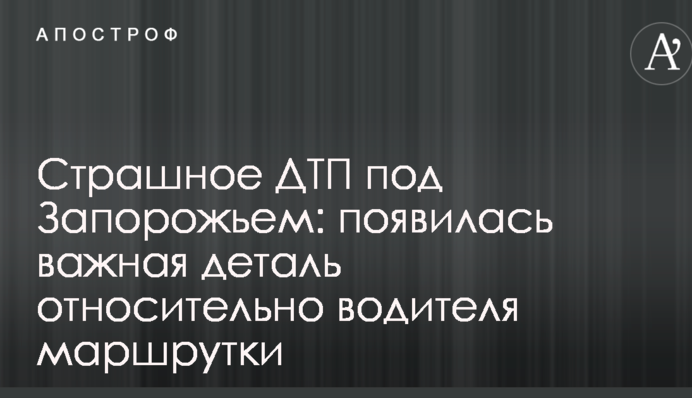 Страшна ДТП під Запоріжжям: з'явилася важлива деталь щодо водія маршрутки
