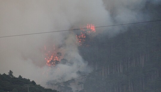 В оккупированном Крыму разгорелся масштабный пожар в заповеднике: опубликованы фото и видео