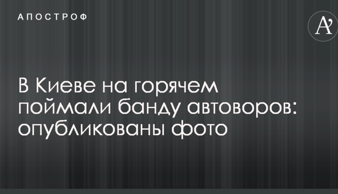 В Киеве на горячем поймали банду автоворов: опубликованы фото