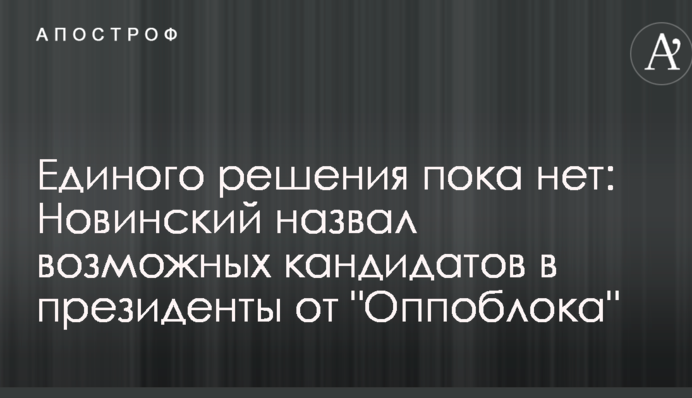 Единого решения пока нет: Новинский назвал возможных кандидатов в президенты от 