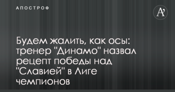 Будем жалить, как осы: тренер "Динамо" назвал рецепт победы над "Славией" в Лиге чемпионов