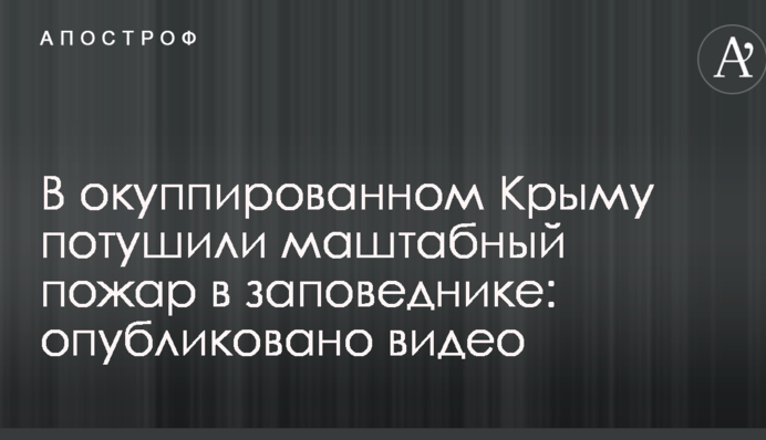 В окуппированном Крыму потушили маштабный пожар в заповеднике: опубликовано видео
