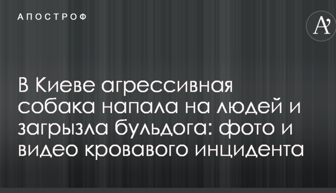 В Киеве агрессивная собака напала на людей и загрызла бульдога: фото и видео кровавого инцидента