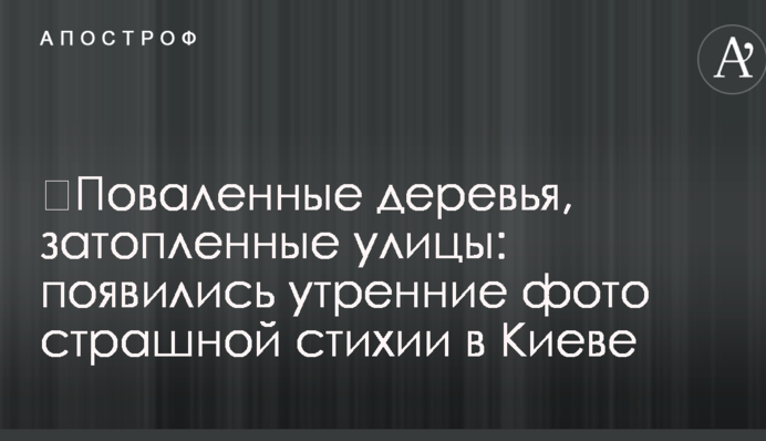 ​Поваленные деревья, затопленные улицы: появились утренние фото страшной стихии в Киеве
