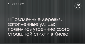 ​Поваленные деревья, затопленные улицы: появились утренние фото страшной стихии в Киеве