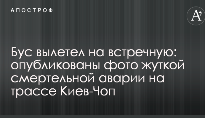 Бус вилетів на зустрічну: опубліковано фото моторошної смертельної аварії на трасі Київ-Чоп