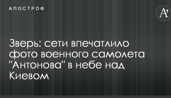 Звір: мережі вразило фото військового літака 