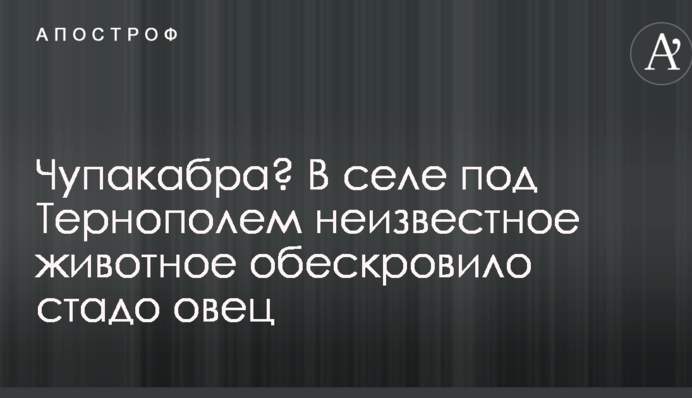 Чупакабра? В селе под Тернополем неизвестное животное обескровило стадо овец