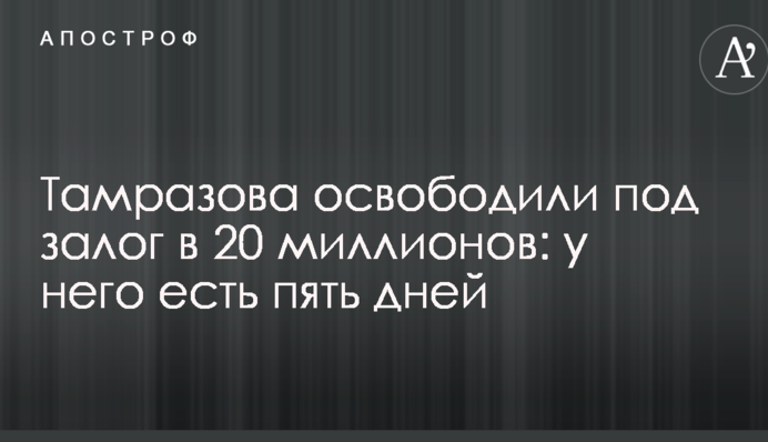 Тамразова освободили под залог в 20 млн: у него есть пять дней