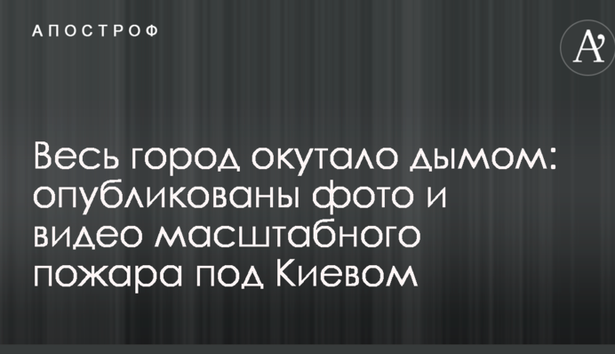 Весь город окутало дымом: опубликованы фото и видео масштабного пожара под Киевом