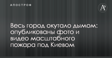 Все місто оповите димом: опубліковано фото і відео масштабної пожежі під Києвом