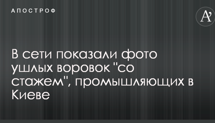 В сети показали фото ушлых воровок 