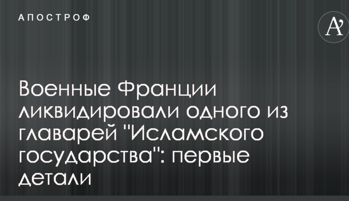 Военные Франции ликвидировали одного из главарей 