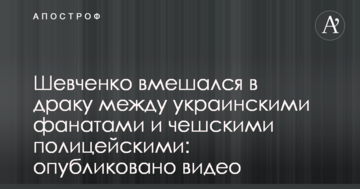Шевченко вмешался в драку между украинскими фанатами и чешскими полицейскими: опубликовано видео