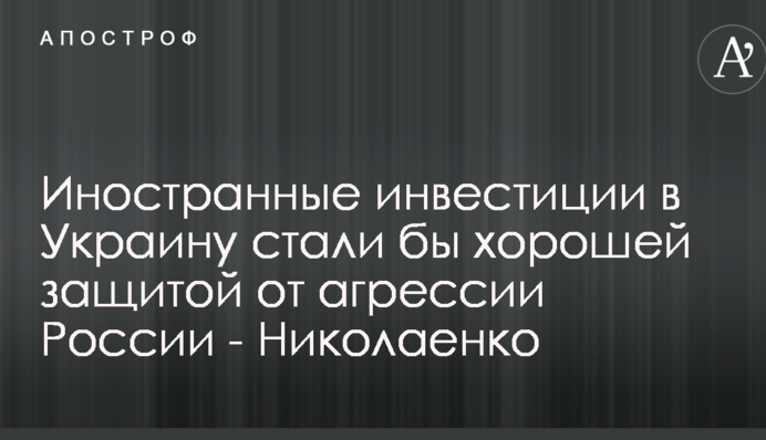 Иностранные инвестиции в Украину стали бы хорошей защитой от агрессии России - Николаенко