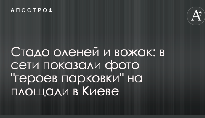 Стадо оленей и вожак: в сети показали фото 