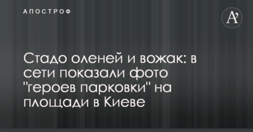 Стадо оленів і ватажок: в мережі показали фото "героїв парковки" на площі в Києві