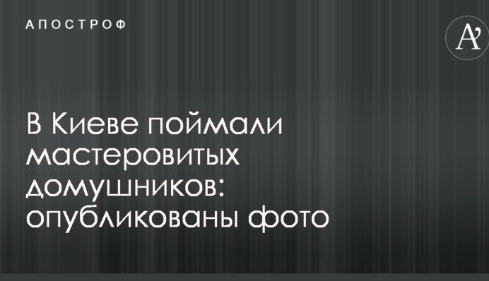 У Києві зловили майстровитих домушників: опубліковані фото