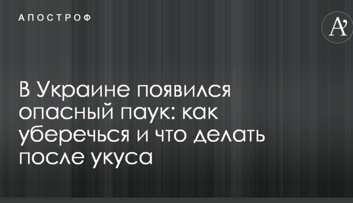 В Украине появился опасный паук: как уберечься и что делать после укуса